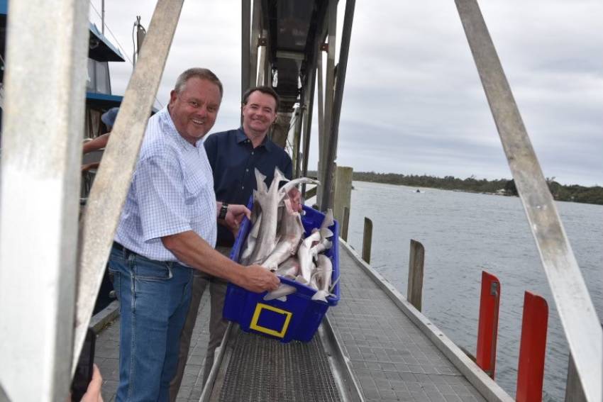 Wind farms must respect fishery