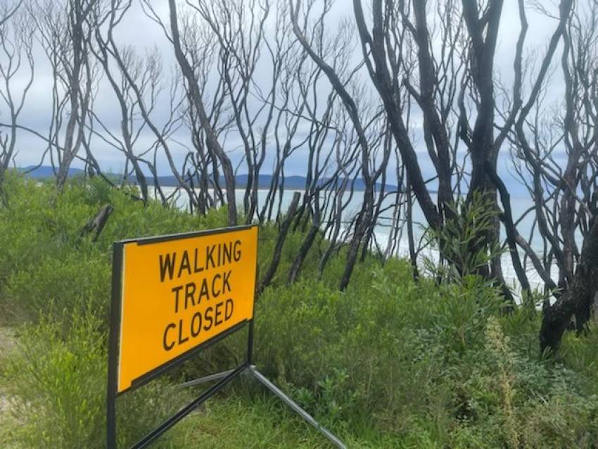 Bushfire recovery at glacial pace