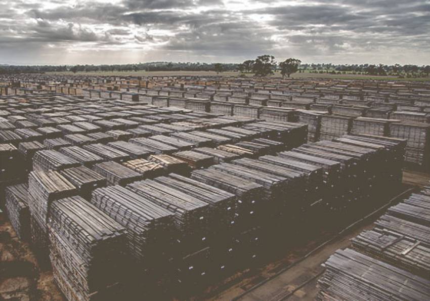 Labor must step up for timber industry